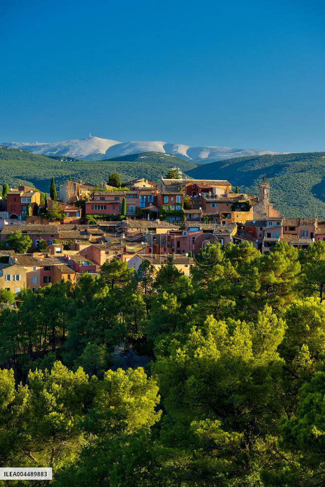 Illustration - Provence