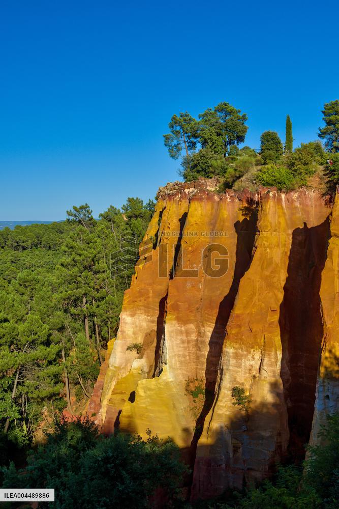 Illustration - Provence
