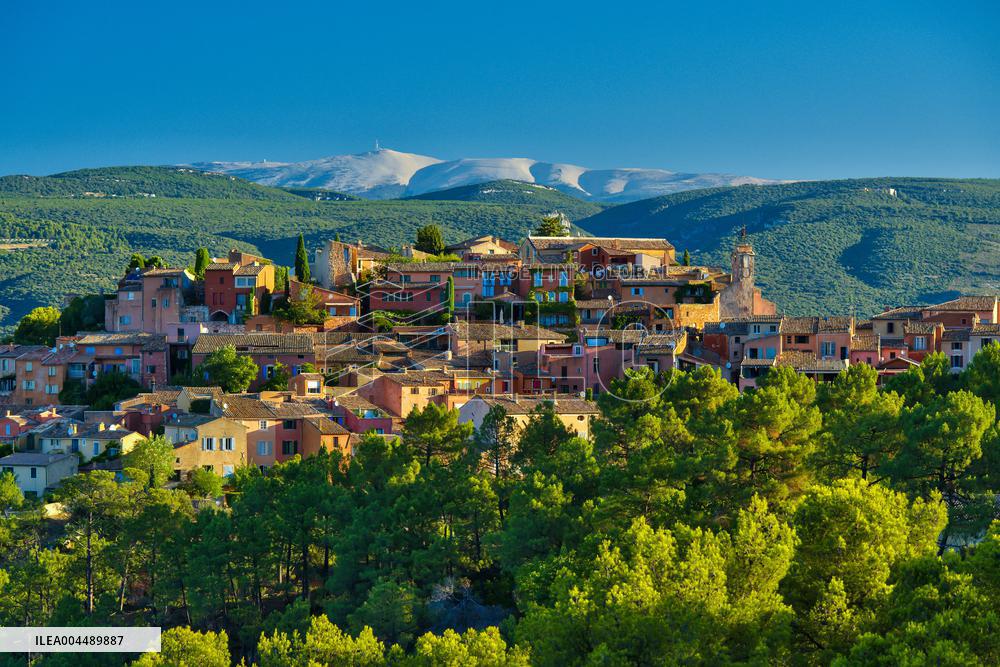 Illustration - Provence