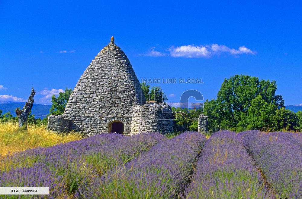 Illustration - Provence