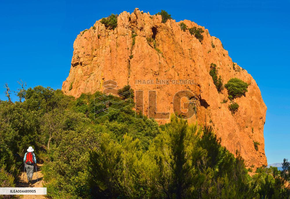 Illustration - Provence