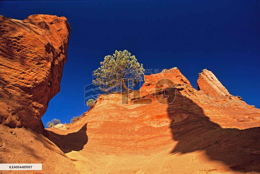 Illustration - Provence