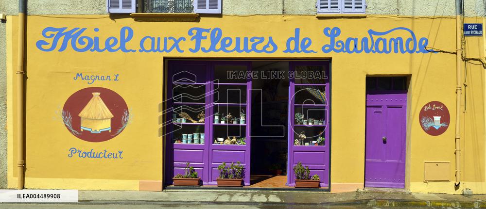 Illustration - Provence