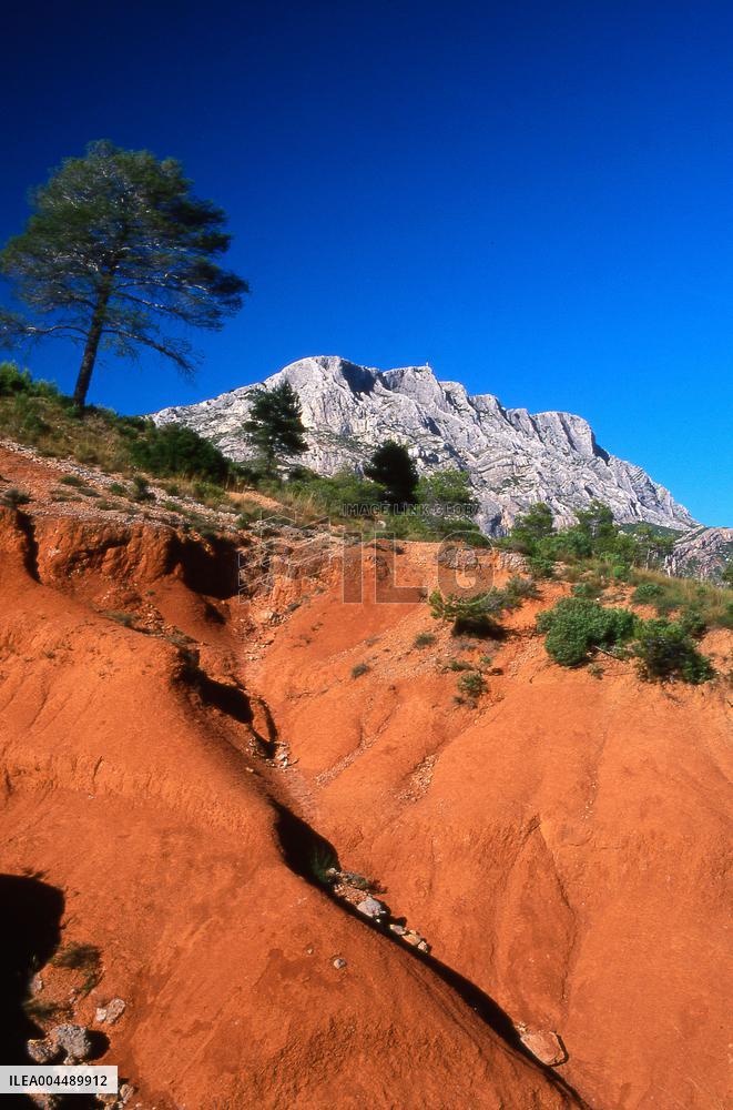 Illustration - Provence