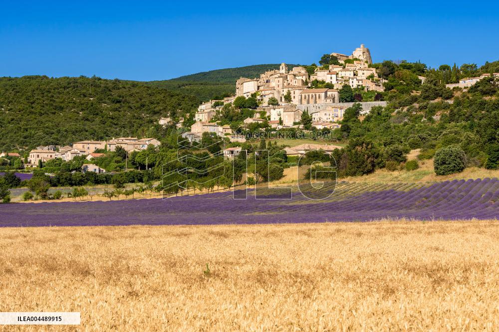 Illustration - Provence