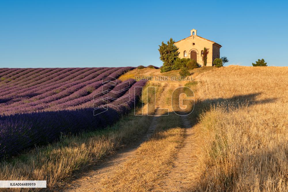 Illustration - Provence