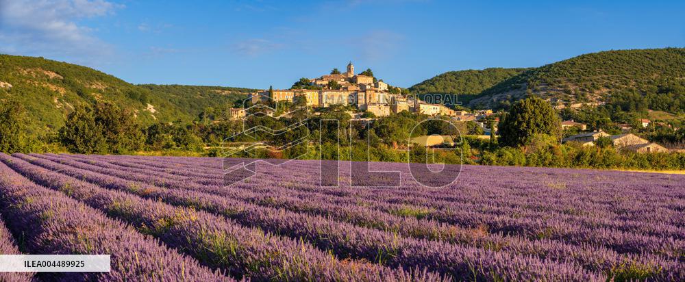 Illustration - Provence