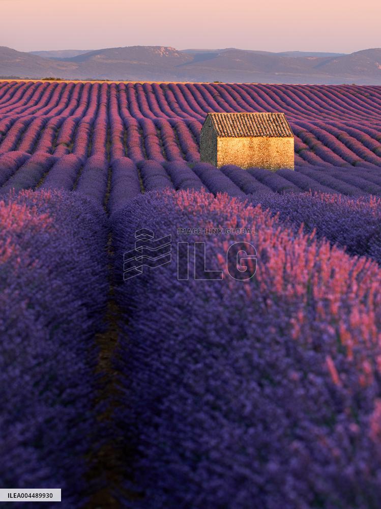 Illustration - Provence