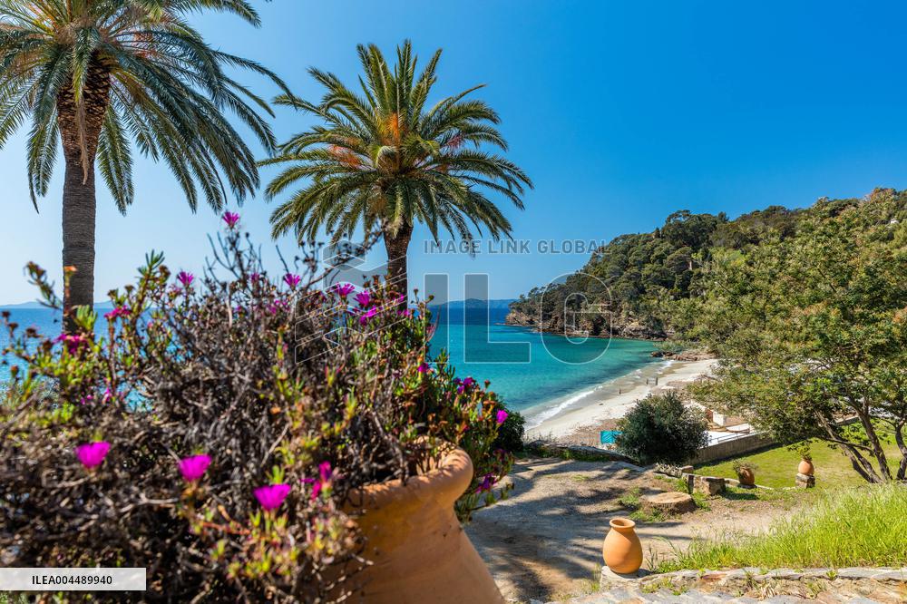 Illustration - Provence