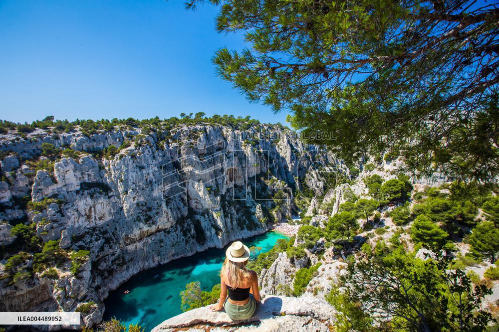 Illustration - Provence