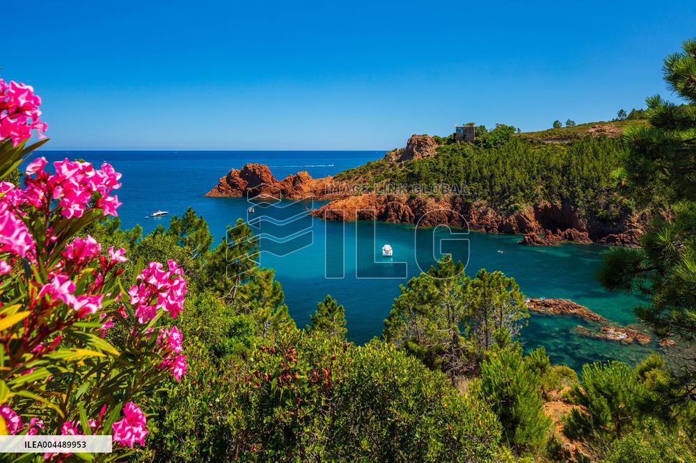 Illustration - Provence