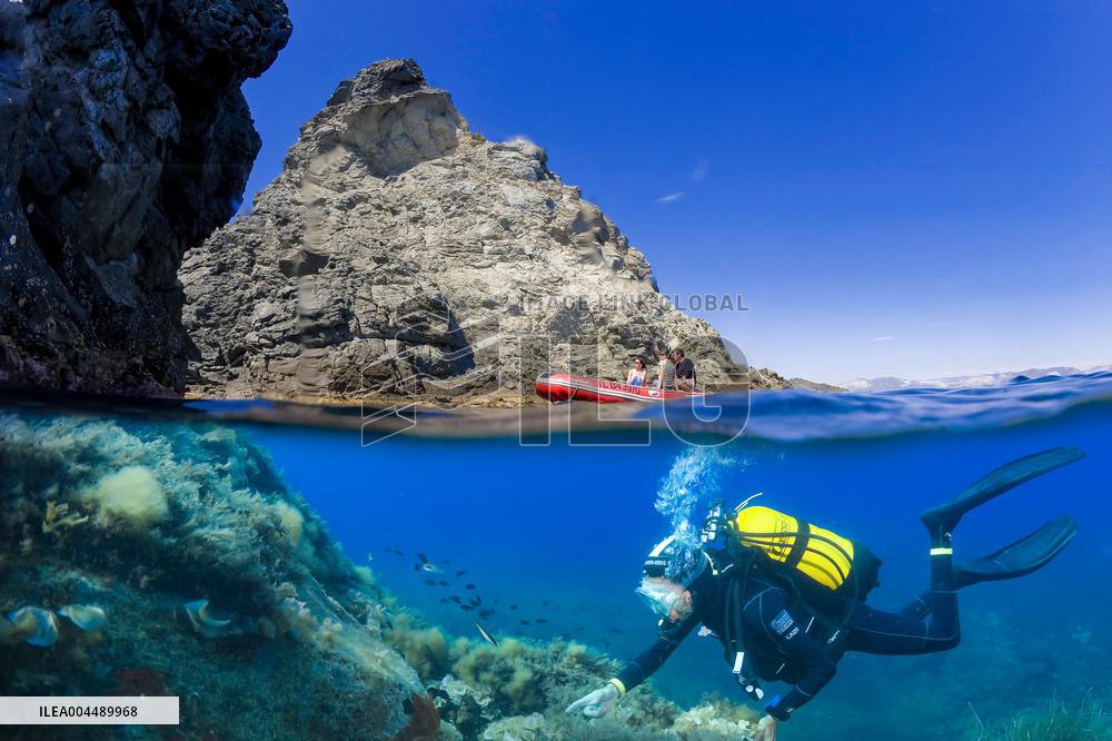 Illustration - Provence