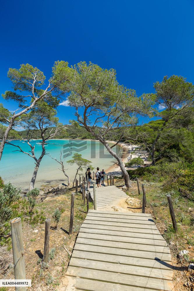 Illustration - Provence