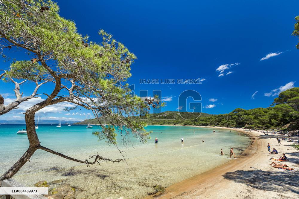 Illustration - Provence