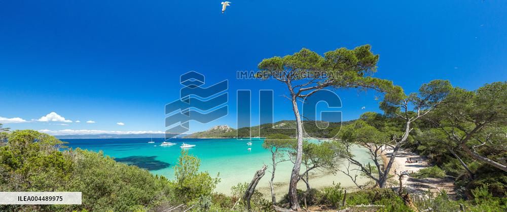 Illustration - Provence