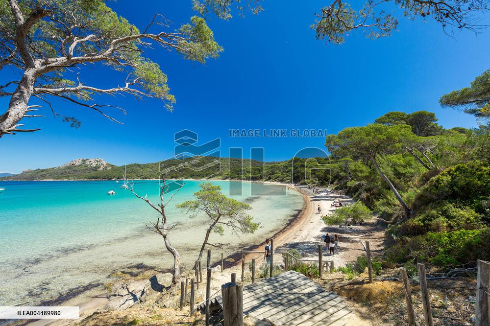 Illustration - Provence