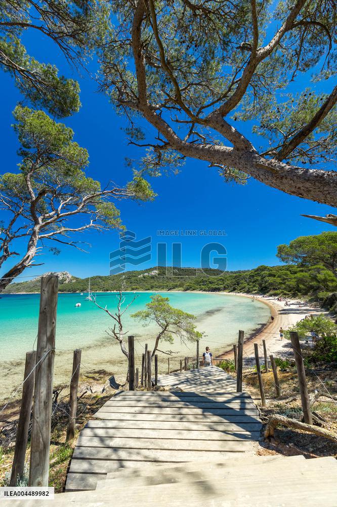 Illustration - Provence