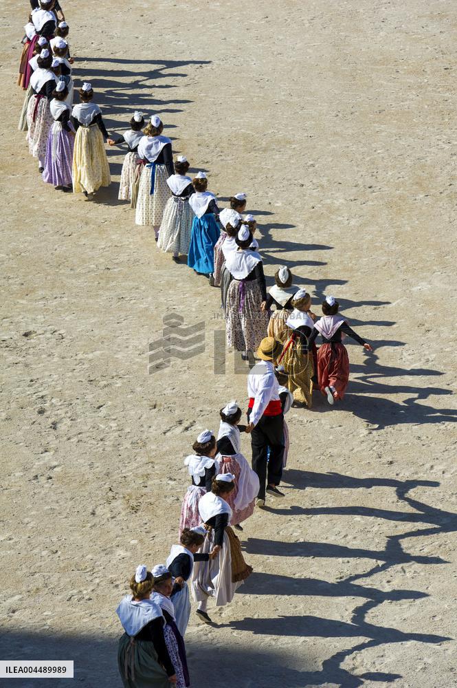 Illustration - Provence