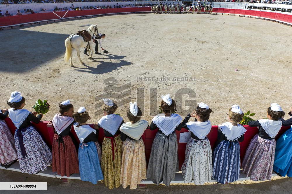 Illustration - Provence