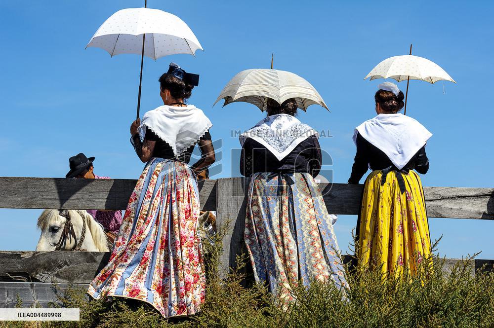 Illustration - Provence