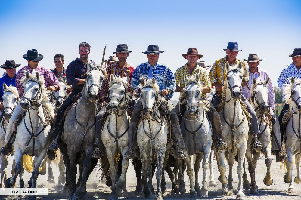 Illustration - Provence