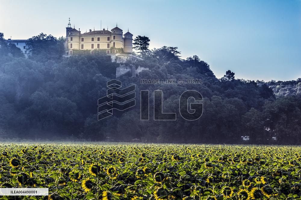 Illustration - Provence