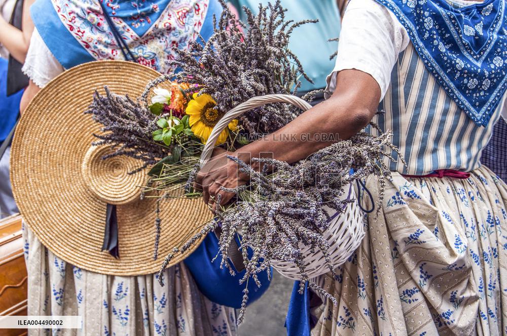 Illustration - Provence