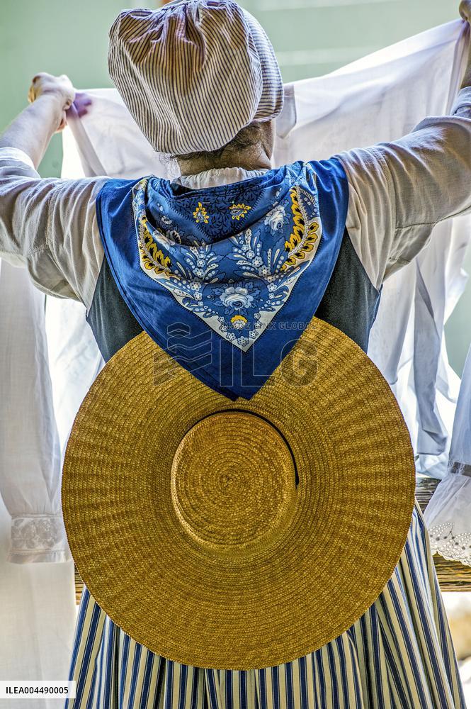 Illustration - Provence