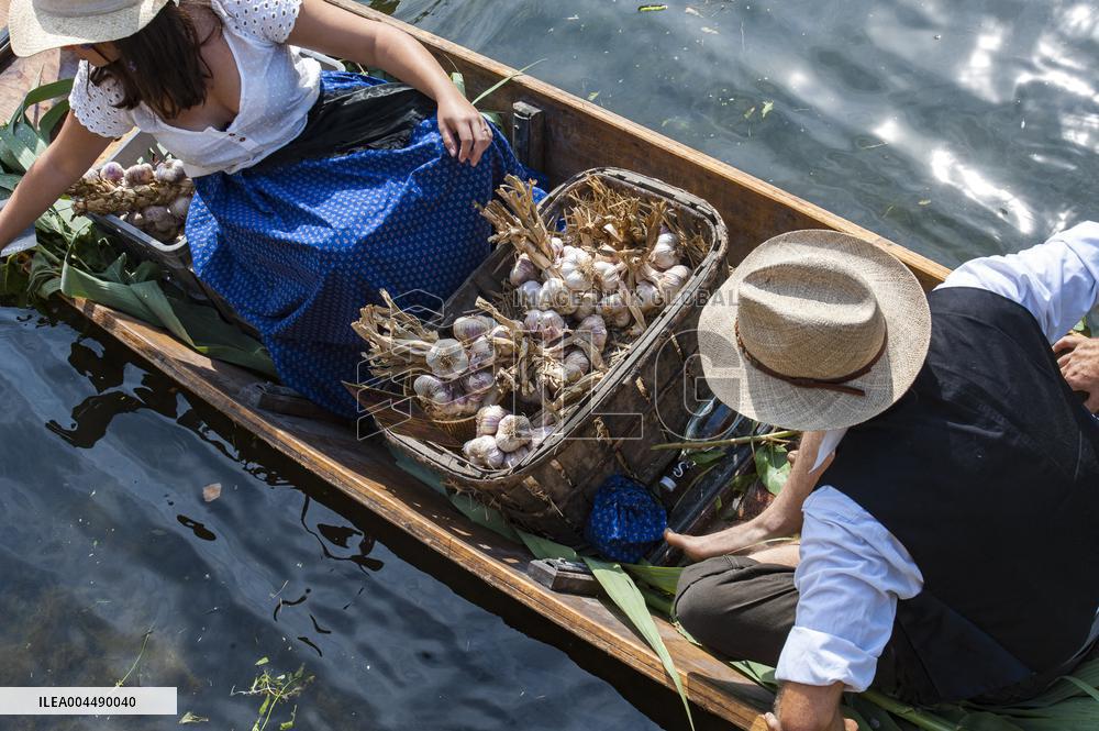 Illustration - Provence