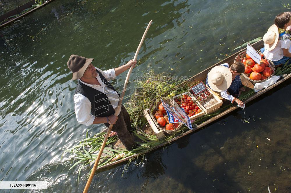 Illustration - Provence Food