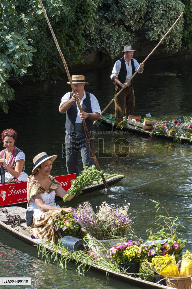 Illustration - Provence Food