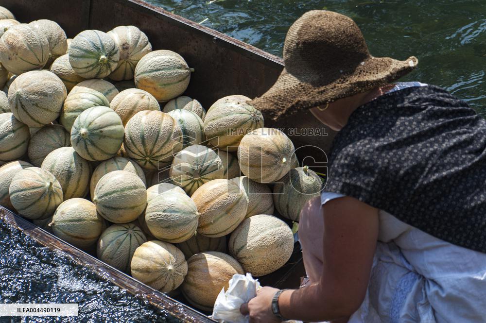 Illustration - Provence Food