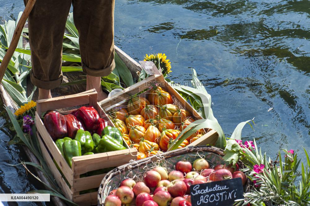 Illustration - Provence Food