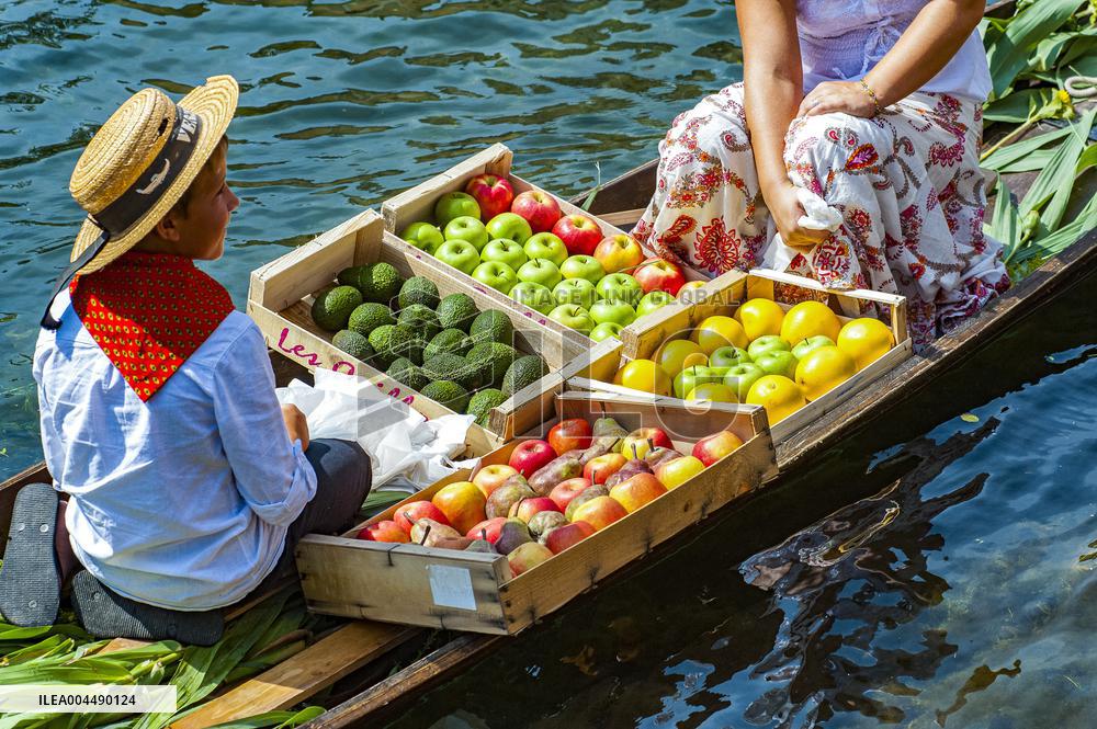Illustration - Provence Food