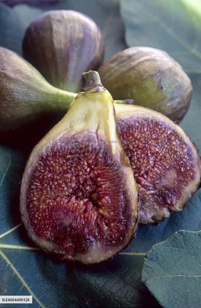 Illustration - Provence Food