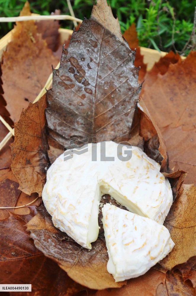 Illustration - Provence Food