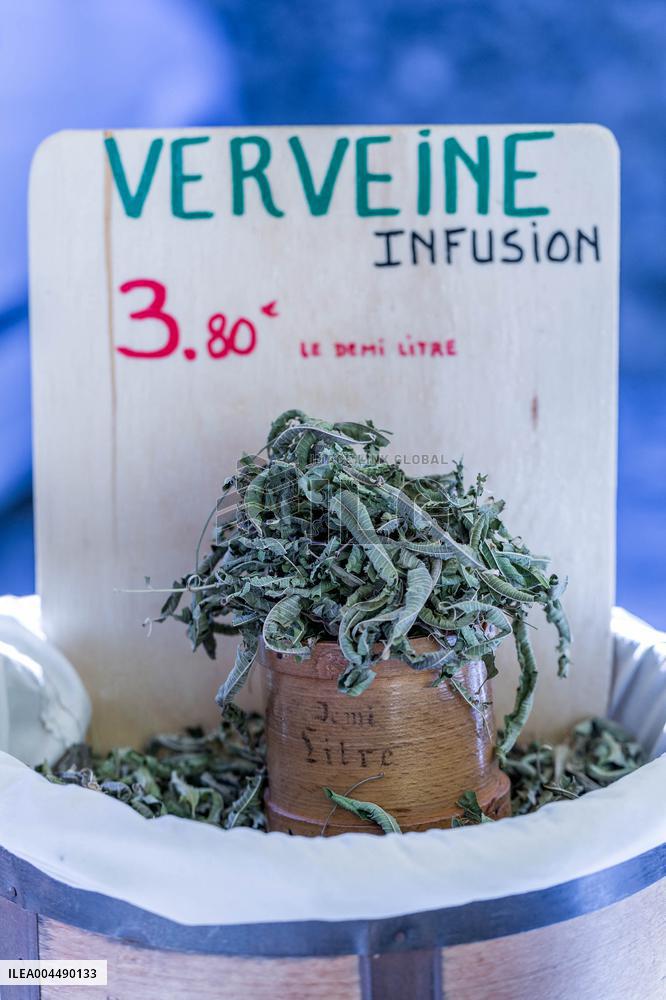 Illustration - Provence Food