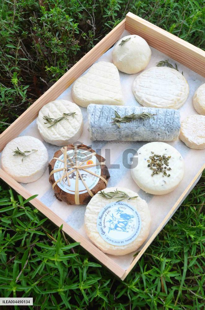 Illustration - Provence Food