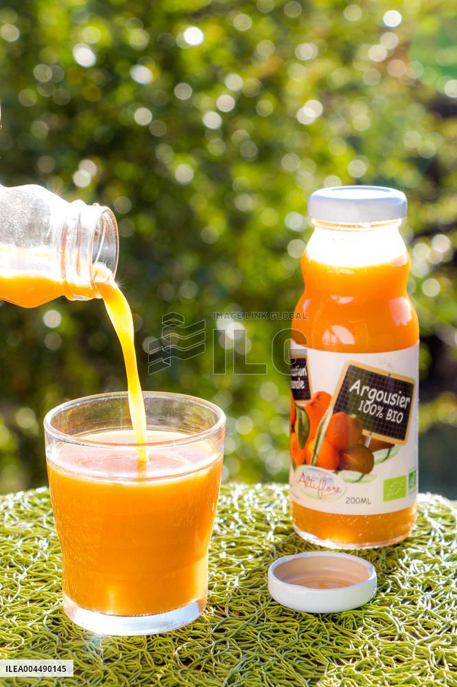 Illustration - Provence Food