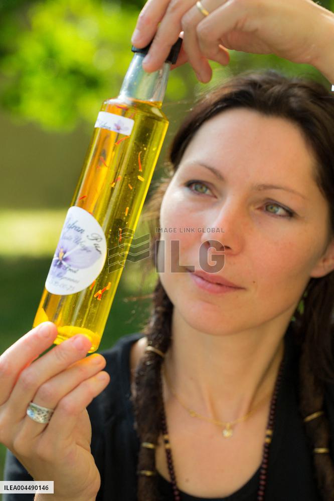 Illustration - Provence Food