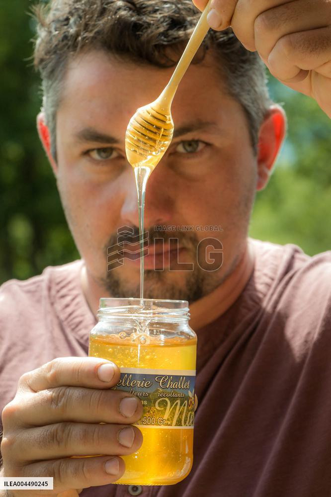 Illustration - Honey