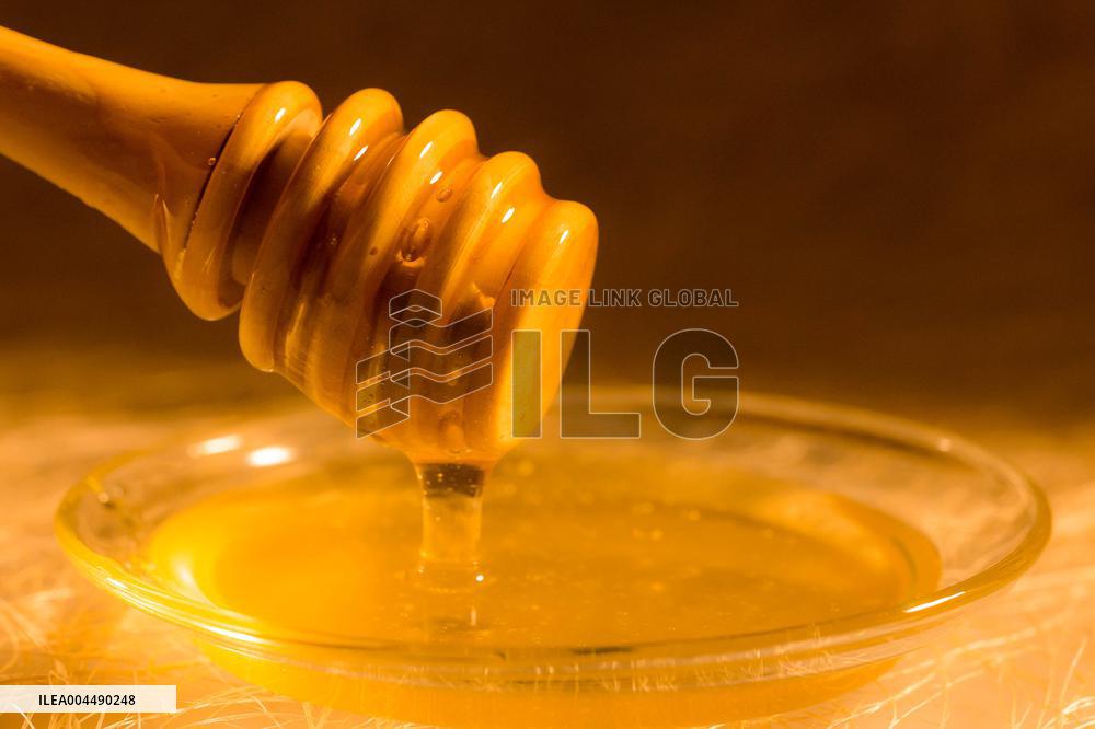 Illustration - Honey