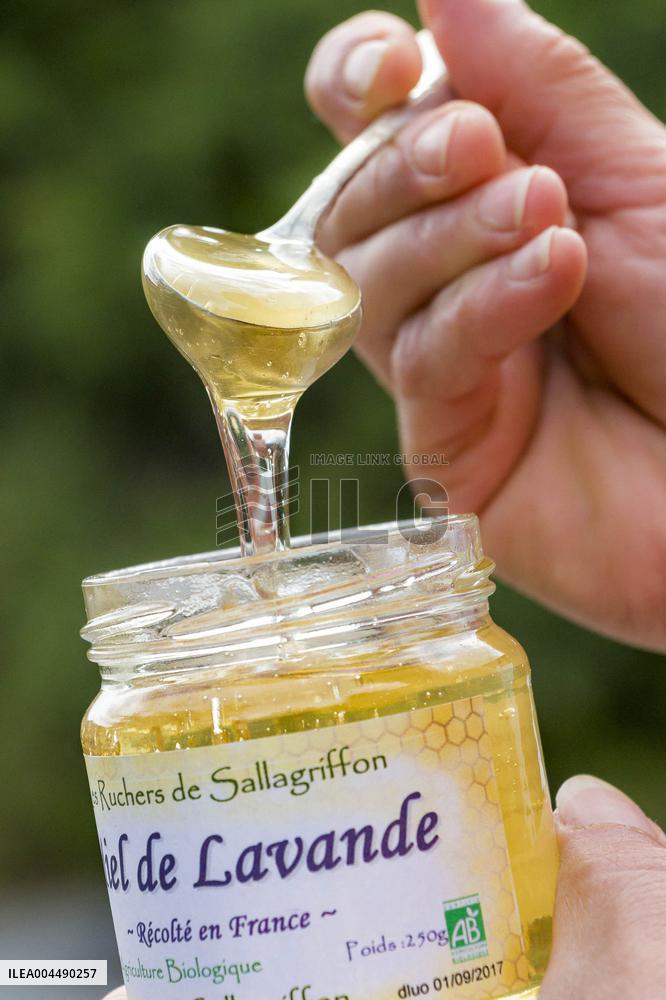 Illustration - Honey