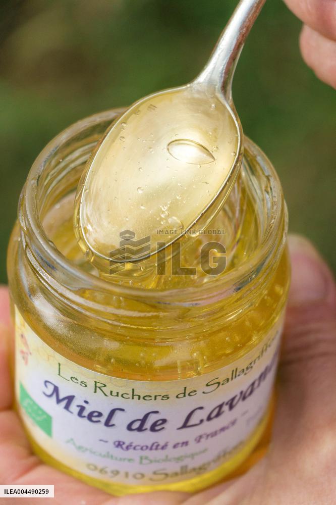 Illustration - Honey