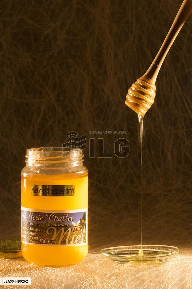 Illustration - Honey