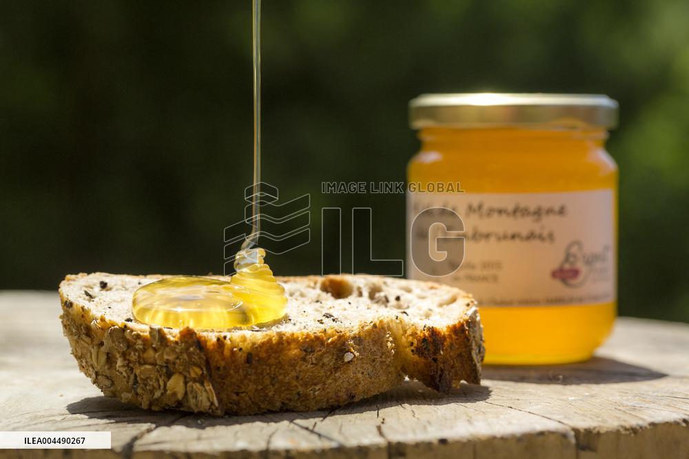 Illustration - Honey