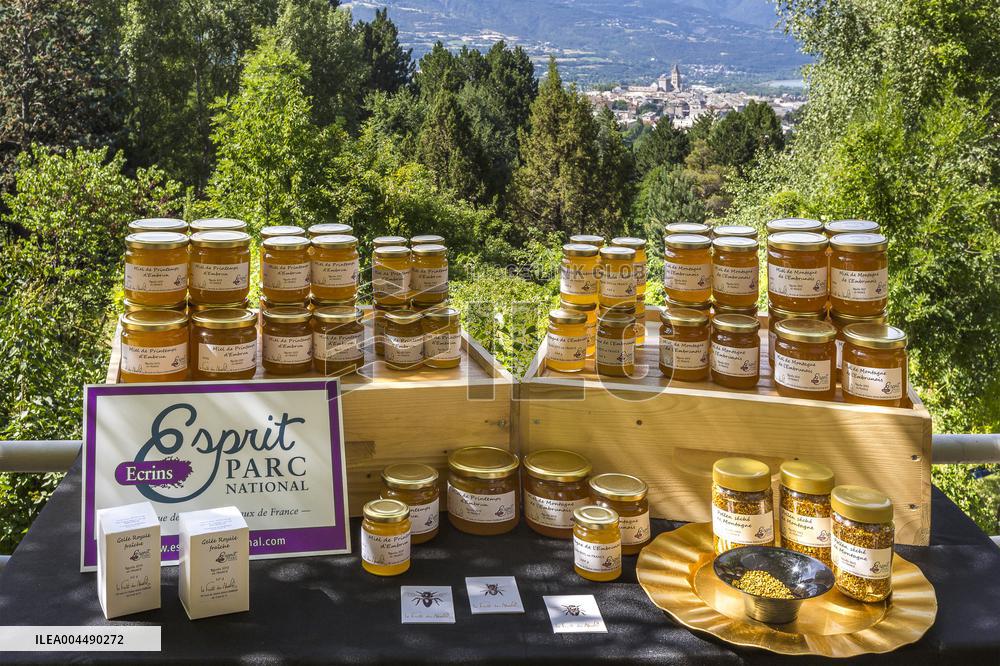 Illustration - Honey