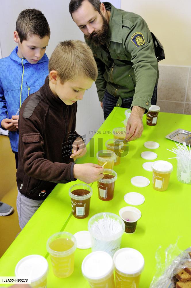 Illustration - Honey