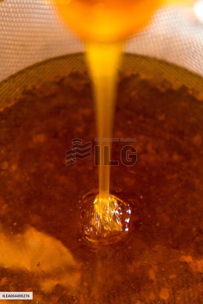 Illustration - Honey