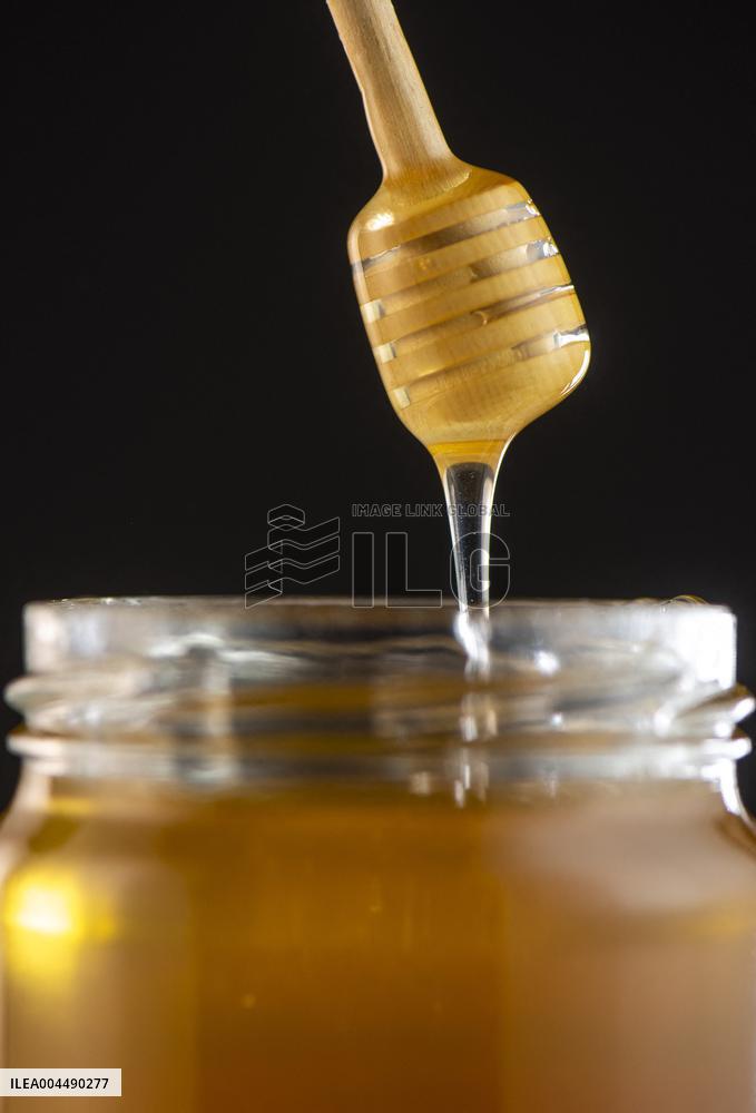 Illustration - Honey